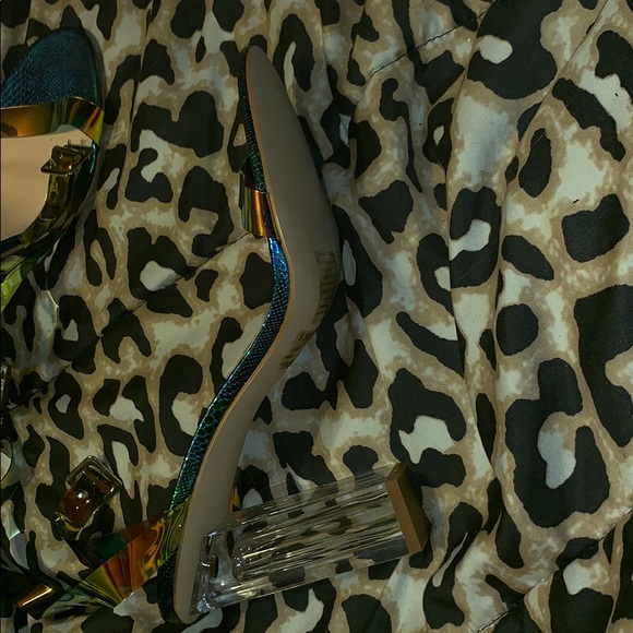 The Glass Slipper - Picture 2 of 3